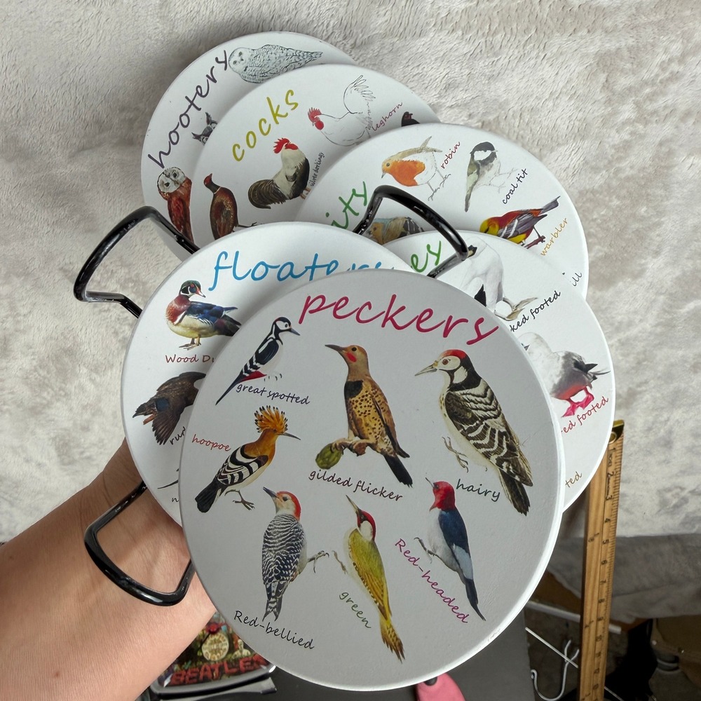 Joke Pun Funny Bird Coasters Set of 6 with Holder bar Novelty Gift